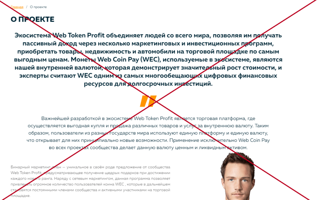 Web token. Web token profit отзывы. Web token profit обман. Webtokenprofit.com отзывы.